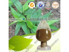 淡竹叶提取物 工厂生产哪家好 南京泽朗 价格优惠