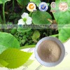 泽泻提取物（有现货）工厂生产 代加工植物提取物