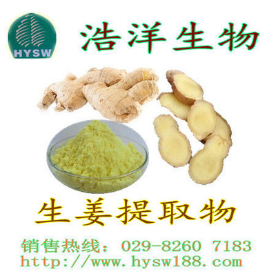 生姜提取物
