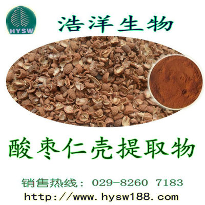 酸枣仁提取物