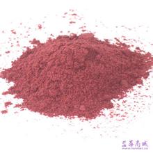 各种规格的植物提取物 OEM代加工 蔓越莓浓缩粉