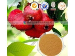 全国提供山楂浓缩粉 天然优质 OEM代加工