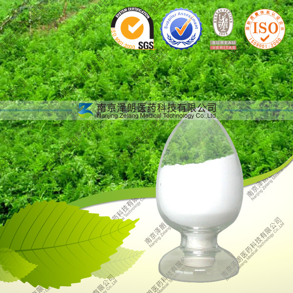 供应槐果碱 98% 品质保证 厂家直销