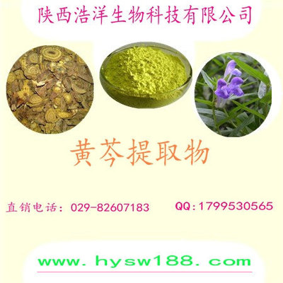黄芩提取物