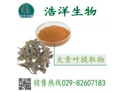 大青叶提取物