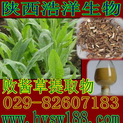 败酱草提取物