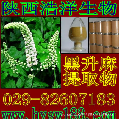 黑升麻提取物