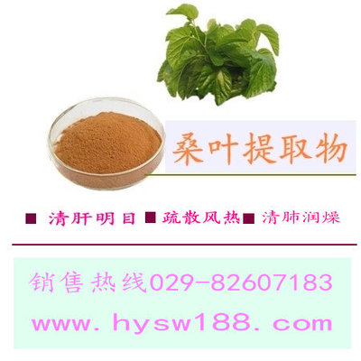 桑叶提取物