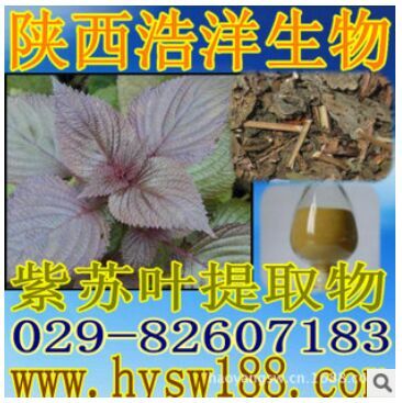 紫苏提取物
