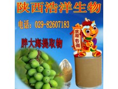 胖大海提取物