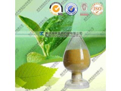 茶多酚（现货）价格优惠 厂家直销