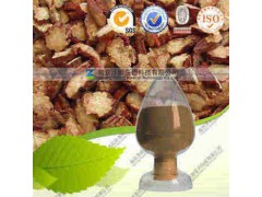 丹参素（现货）价格优惠 质量保证