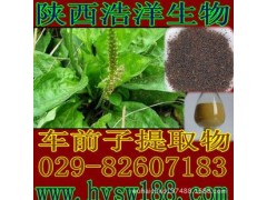 车前子提取物