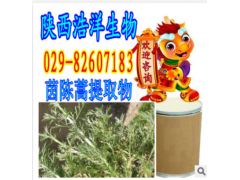 茵陈提取物