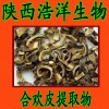 合欢皮提取物