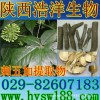 刺五加提取物
