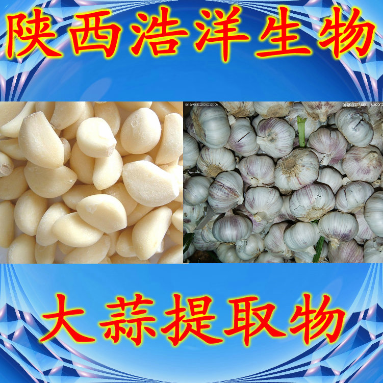大蒜提取物