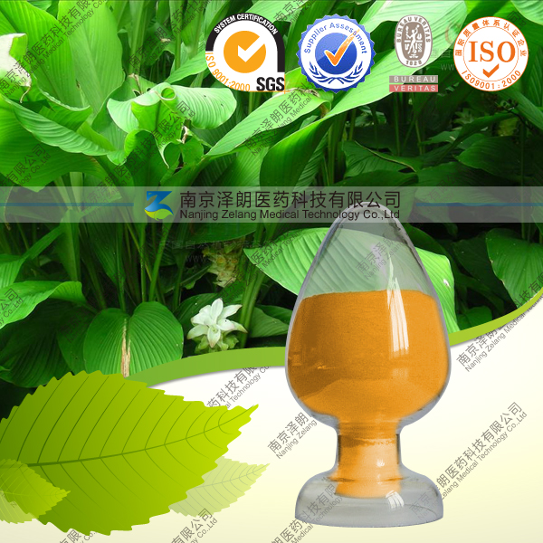 供应姜黄素 1-98% 高品质现货 厂家直销