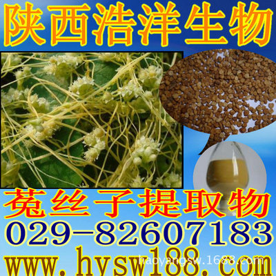 菟丝子提取物