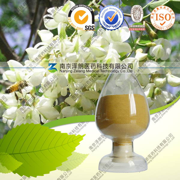 供应槲皮素 1-98% 厂家低价直销