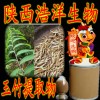 玉竹提取物