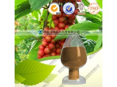 供应五味子乙素 1-98% 五味子提取物系列产品 厂家直销