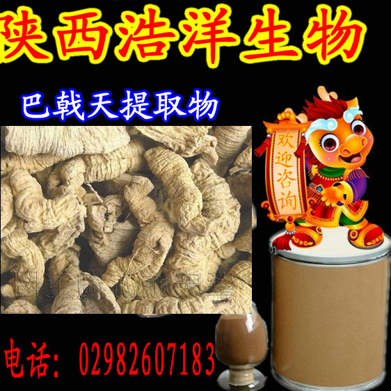 巴戟天提取物