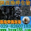 熟地黄提取物