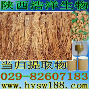 当归提取物
