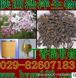 丁香提取物