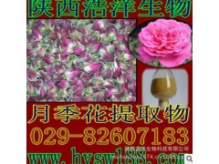 月季花提取物