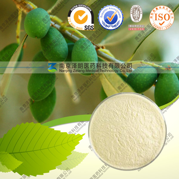 供应橄榄叶提取物 橄榄苦苷 厂家现货直销