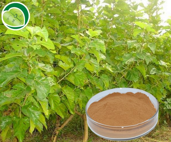 供应绿原酸 1-98% 各种规格齐全 厂家直销