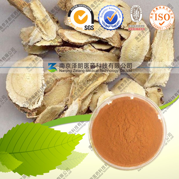 供应黄芪多糖 10-50% 黄芪系列提取物 厂家直销