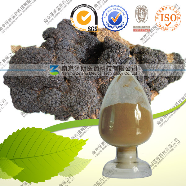 供应白桦茸提取物 白桦茸多糖10-50% 厂家直销