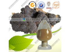 供应白桦茸提取物 白桦茸多糖10-50% 厂家直销