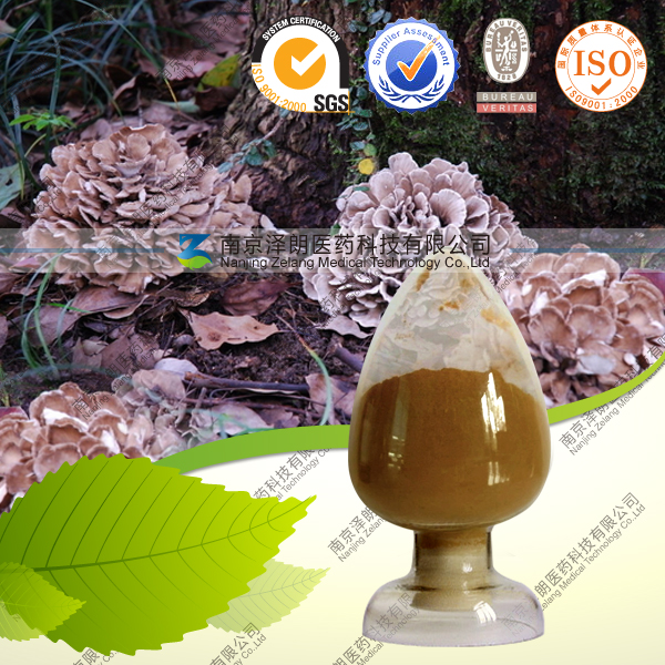 供应灰树花提取物 灰树花多糖 10-50% 厂家直销