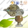 供应云芝提取物 云芝多糖 10-50% 厂家直销