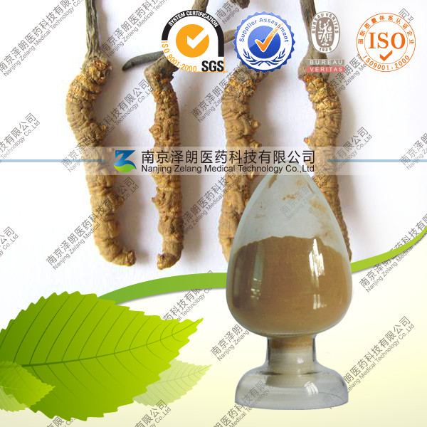 供应虫草提取物 虫草多糖 厂家低价直销
