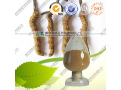 供应虫草提取物 虫草多糖 厂家低价直销