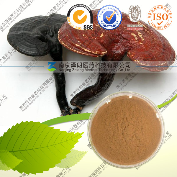 厂家库存现货 灵芝多糖50% 低价销售