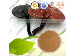 厂家库存现货 灵芝多糖50% 低价销售