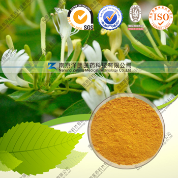 供应金银花提取物 绿原酸 5%-98% 规格齐全 厂家直销
