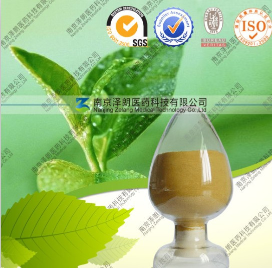 供应绿茶提取物 茶多酚 医药原料 厂家直销