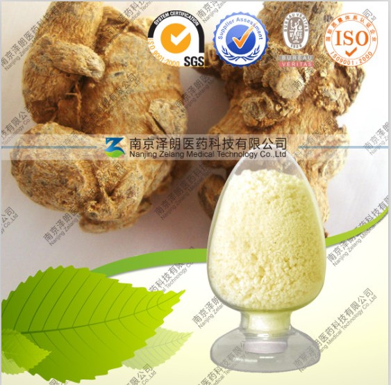 供应三七茎叶总皂苷10-80% 厂家直销 新年大促销