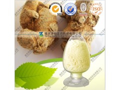 供应三七茎叶总皂苷10-80% 厂家直销 新年大促销