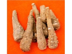 白芷提取物 OEM加工 价格优惠 质量保证