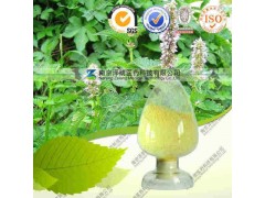 藿香提取物 OEM加工 价格优惠 质量保证