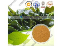 昆布提取物 OEM加工 价格优惠 厂家直销