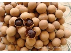 桂圆提取物 OEM加工 价格优惠 质量保证